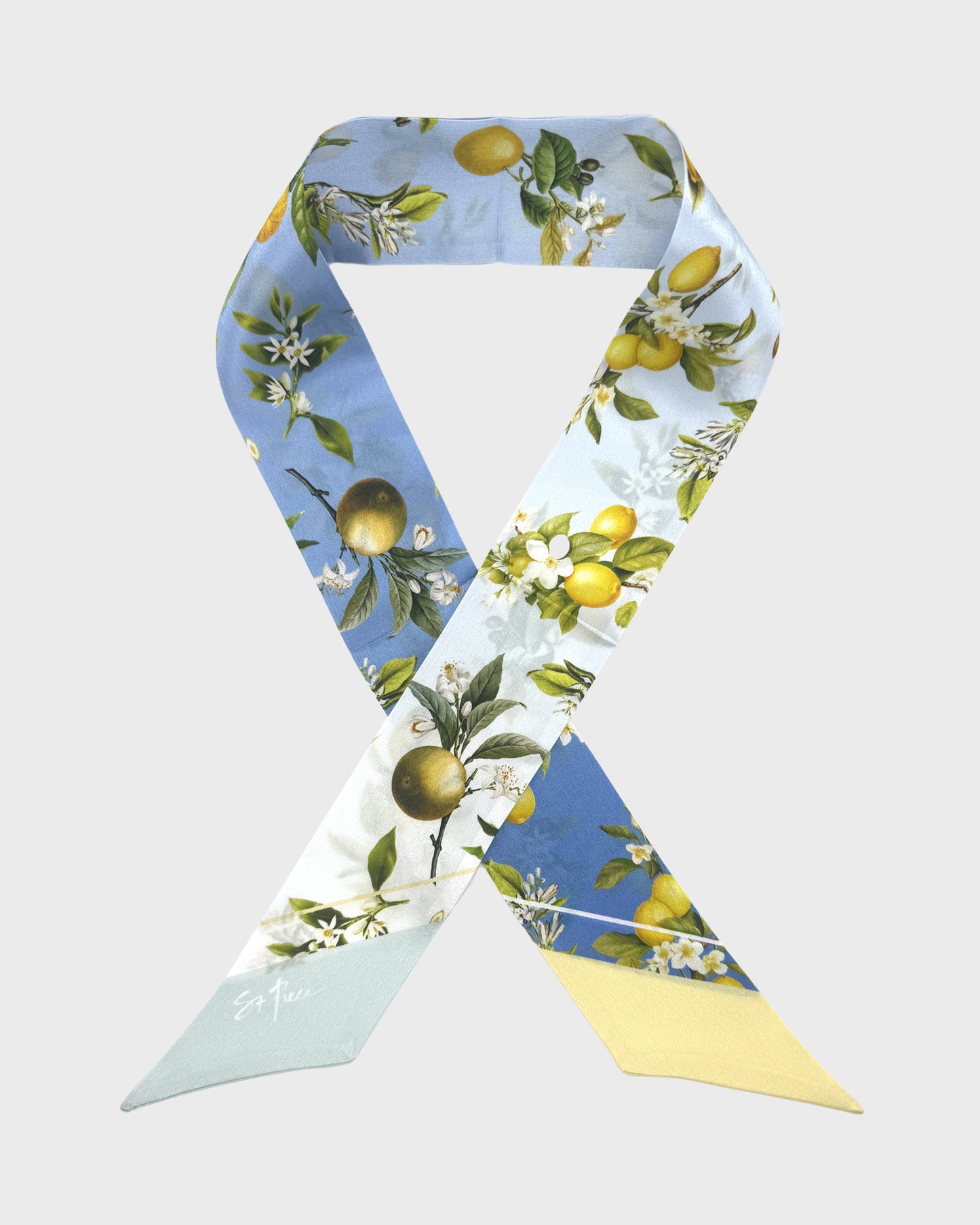 St Piece Chloe Blue White Ombre silk twilly scarf